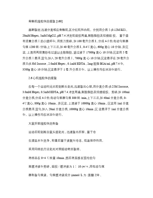 大鼠心肌骨骼肌肝脏以及培养细胞的线粒体提取解读