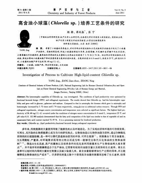 高含油小球藻(Chlorella sp.)培养工艺条件的研究