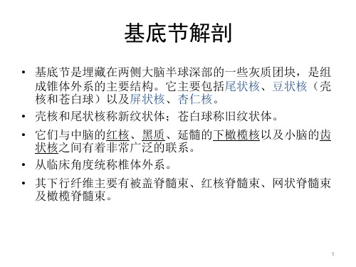 基底节区及内囊ppt课件