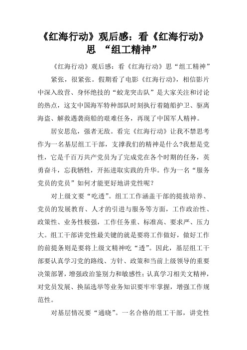 《红海行动》观后感：看《红海行动》思 “组工精神”