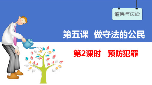 5.2 预防犯罪 课件(共17张PPT)- 2024-2025学年统编版道德与法治八年级上册.ppt