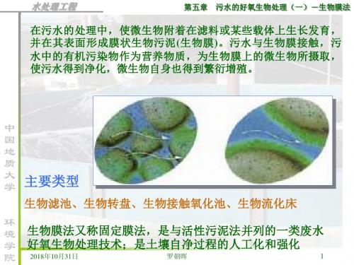 水污染控制工程中国地质大学第05章污水的好氧生物处理生物膜法(1