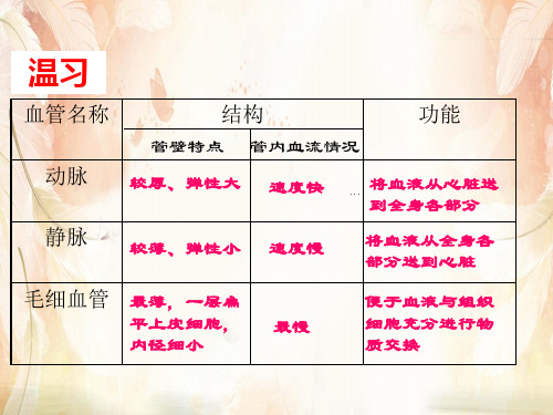 输送血液的泵——心脏PPT课件37 人教版