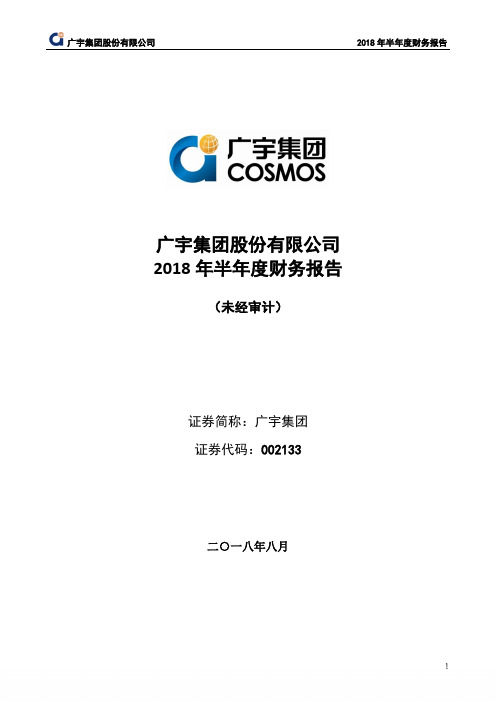 广宇集团股份有限公司2018年半