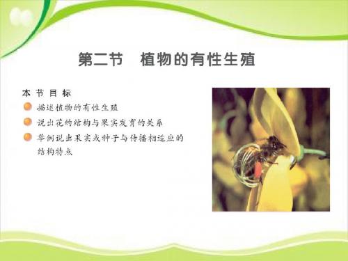 苏教版八下生物 21.2植物的有性生殖 课件  (共33张PPT)