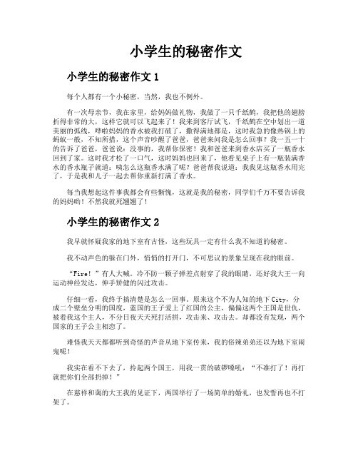 小学生的秘密作文