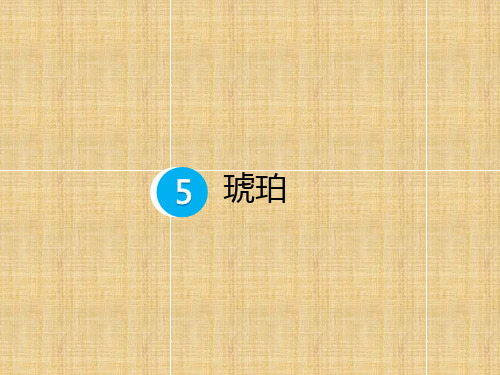 人教部编版《琥珀》精美课件2