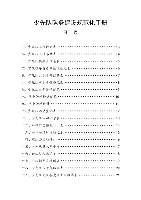 少先队队务建设规范化手册 精品