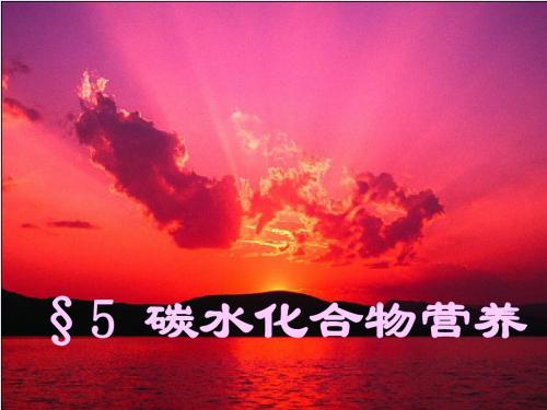 5碳水化合物营养