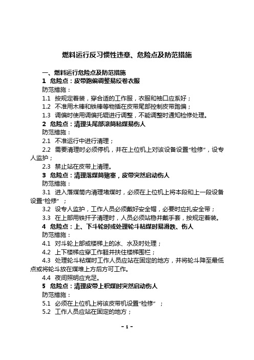 燃料运行反习惯性违章、危险点及防范措施