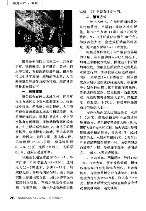银鱼养殖技术