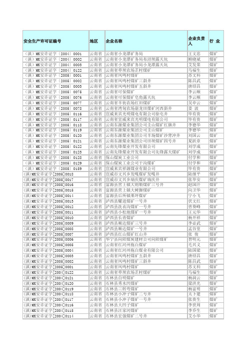 云南煤矿企业