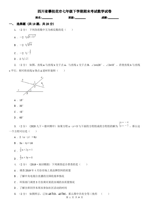 四川省攀枝花市七年级下学期期末考试数学试卷