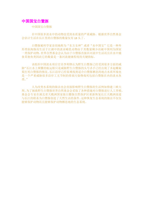 中国国宝白暨豚