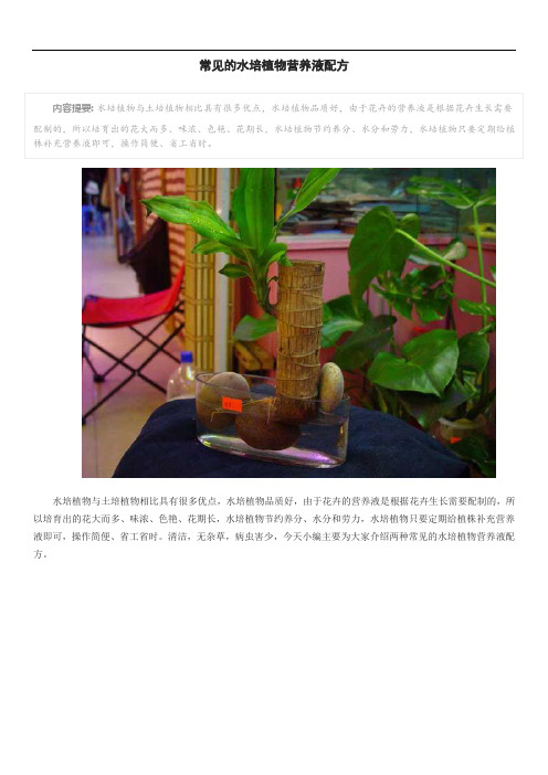 常见的水培植物营养液配方