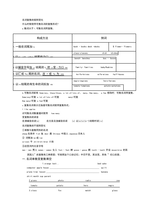 初中英语名词单复数和不可数名词专项讲解与练习