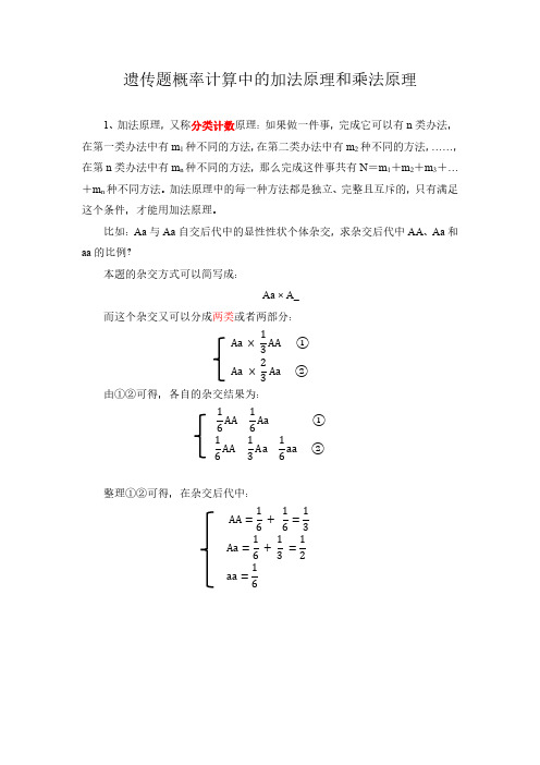 遗传题概率计算中的加法原理和乘法原理