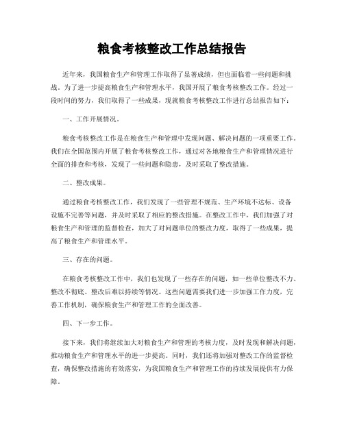 粮食考核整改工作总结报告