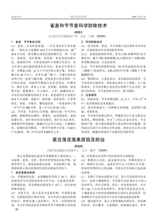 雀麦和节节麦科学防除技术