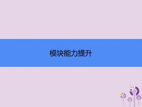 2018秋九年级英语上册Module11Photos模块能力提升课件(新版)外研版