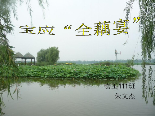 宝应荷藕文化