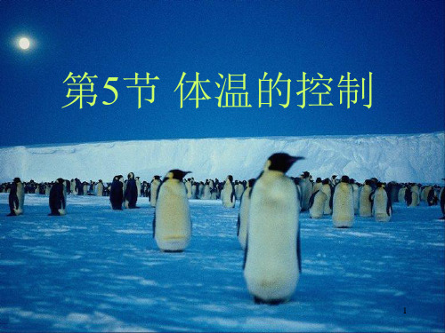 人体散热的主要器官PPT课件