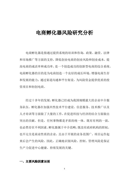 电商孵化器风险研究分析