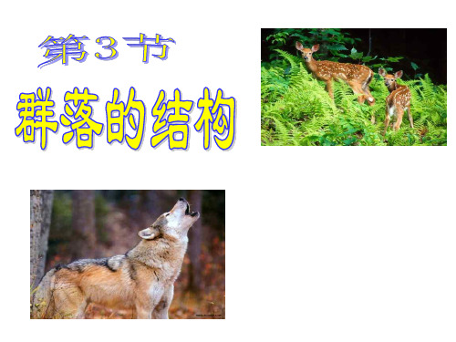 第三节群落的结构ppt课件