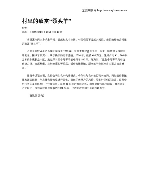 村里的致富“领头羊”