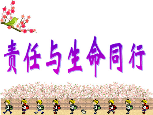 责任心主题班会  ppt课件
