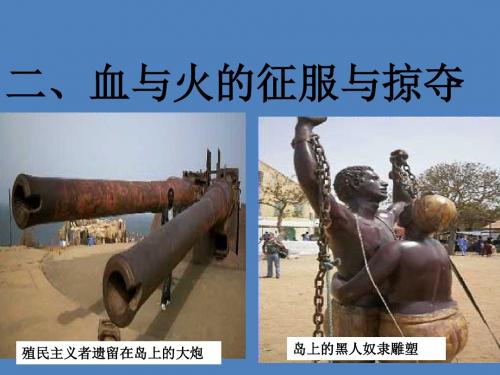 河北省涞水波峰中学人民版高一历史必修二课件：5.2血与火的征服与掠夺+(共38张PPT)