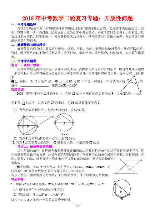 中考数学二轮复习专题：开放性问题(含答案)