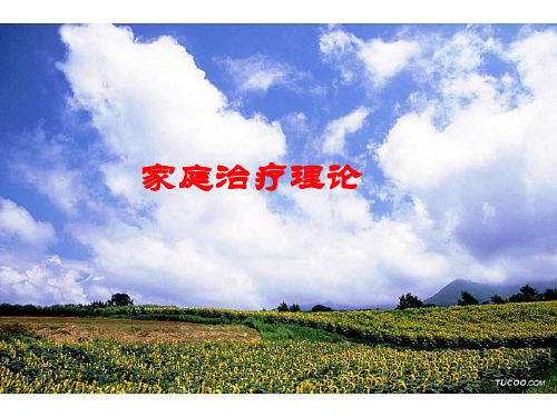 家庭治疗经典理论 家庭心理治疗课件