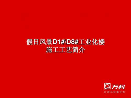 D1D8工业化施工工艺简介