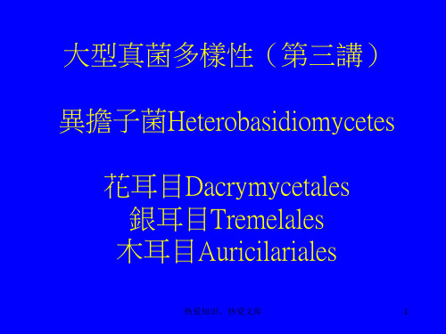 大型真菌多样性(第三讲)