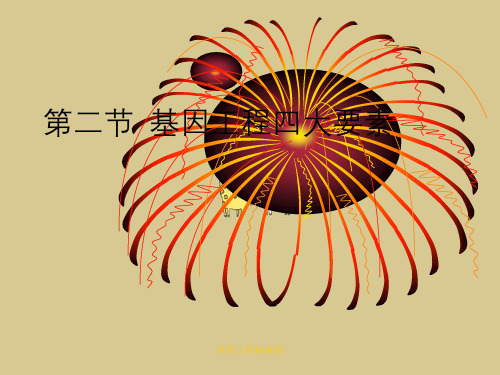 基因工程四要素