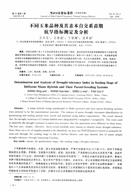 不同玉米品种及其亲本自交系苗期抗旱指标测定及分析