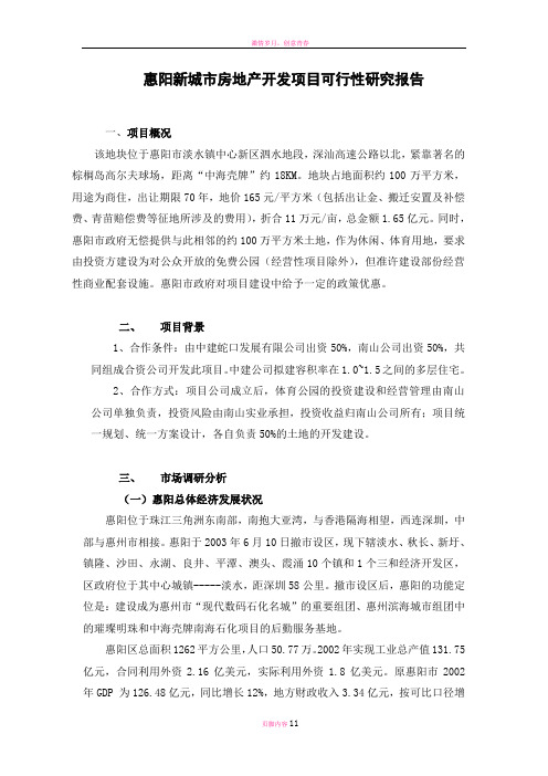 惠阳项目可行性分析报告