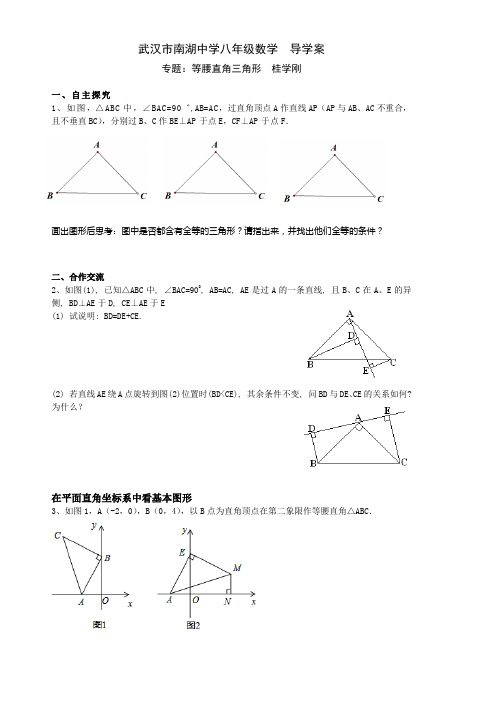 全等三角形和等腰直角三角形综合复习