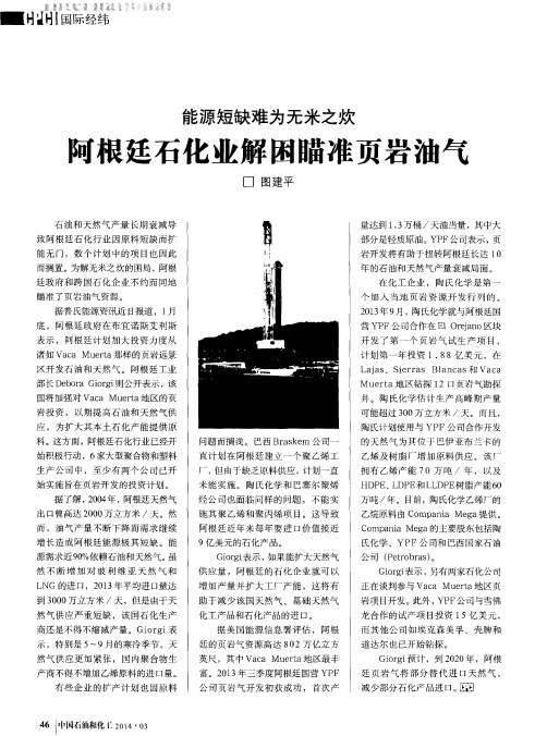 阿根廷石化业解困瞄准页岩油气