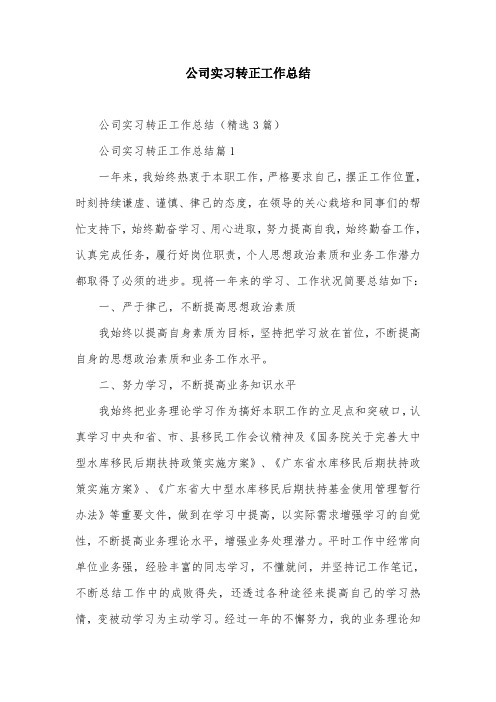 公司实习转正工作总结