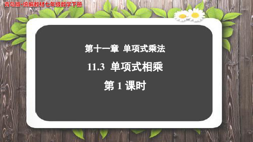 《 单项式乘法》(第1课时)示范公开课教学PPT课件【青岛版七年级数学下册】