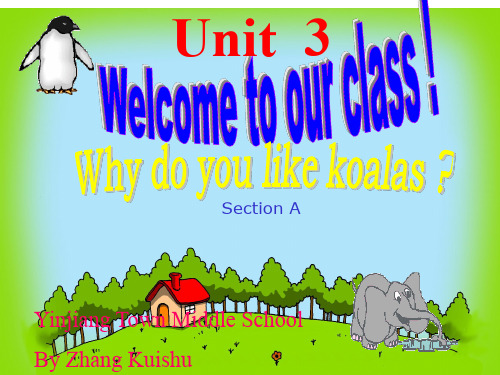 【Selected】Why do you like koalas课件19.ppt