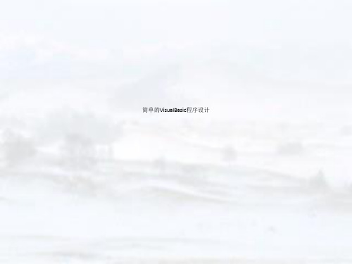 简单的VisualBasic程序设计
