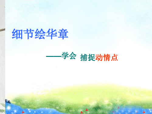 作文-初中作文指导：细节绘华章——学会捕捉动情点ppt优秀PPT