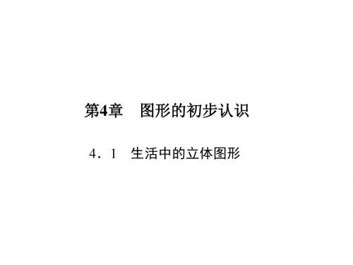 华师大版七年级数学上册课件：4.1 生活中的立体图形