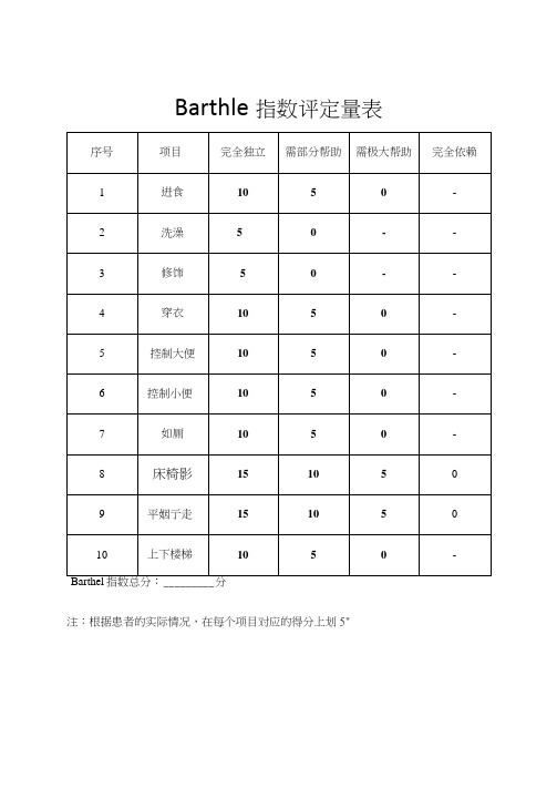 Barthle指数评定量表