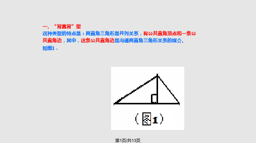 解直角三角形的应用复习专题PPT课件