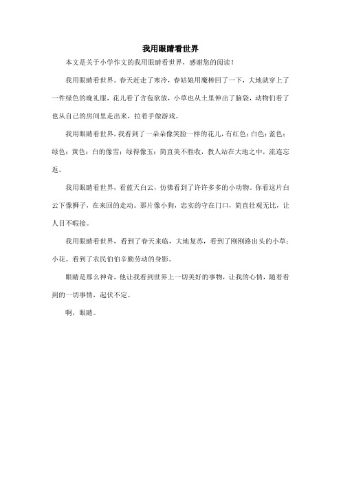 我用眼睛看世界_小学作文