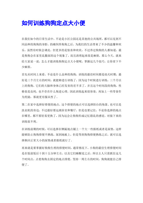如何训练狗狗定点大小便